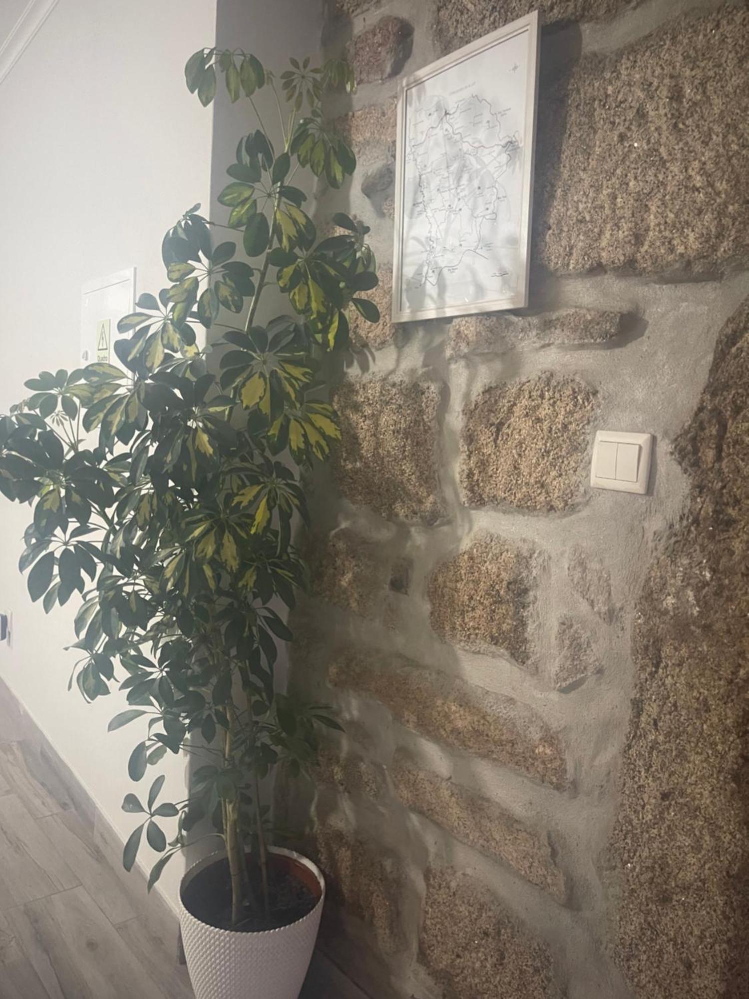 Casa Da Burra Villa Alijó Eksteriør bilde
